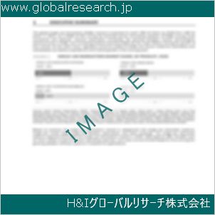 グローバルリサーチ調査資料のイメージ